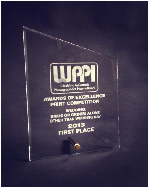 WPPI 2013 1st place award