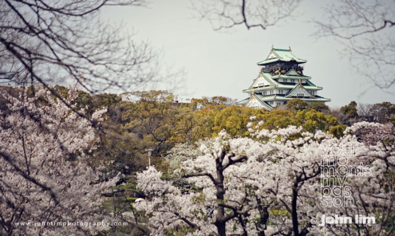 IMG_5373-01-Osaka-kyoto-sakura-cherryblossom-johnlimphotography-overseas-pre-wedding-photography-japan-900x600